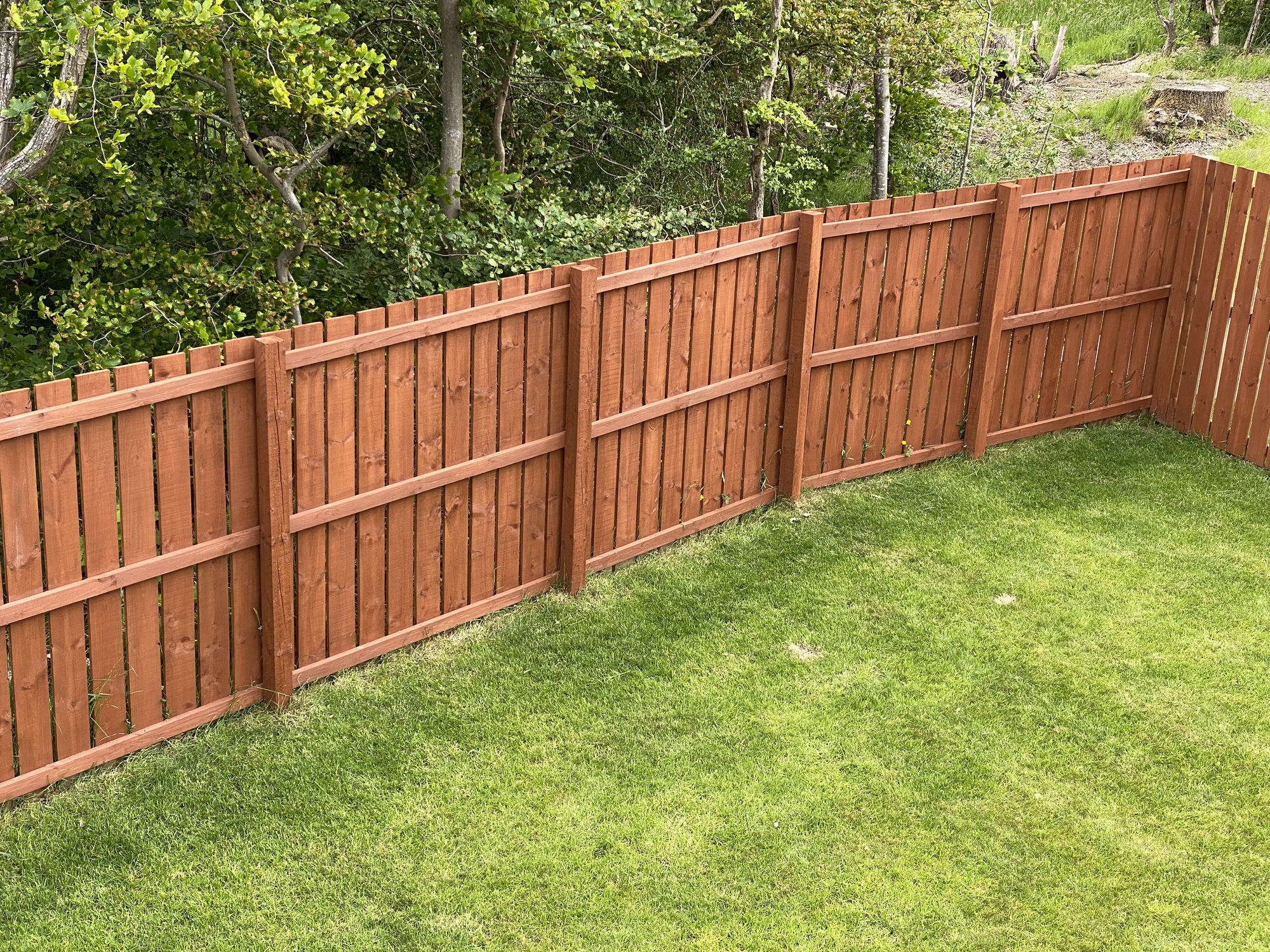 Wooden garden fence coated with medium oak colour